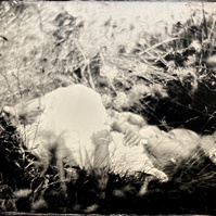 wet plate portrait fine art