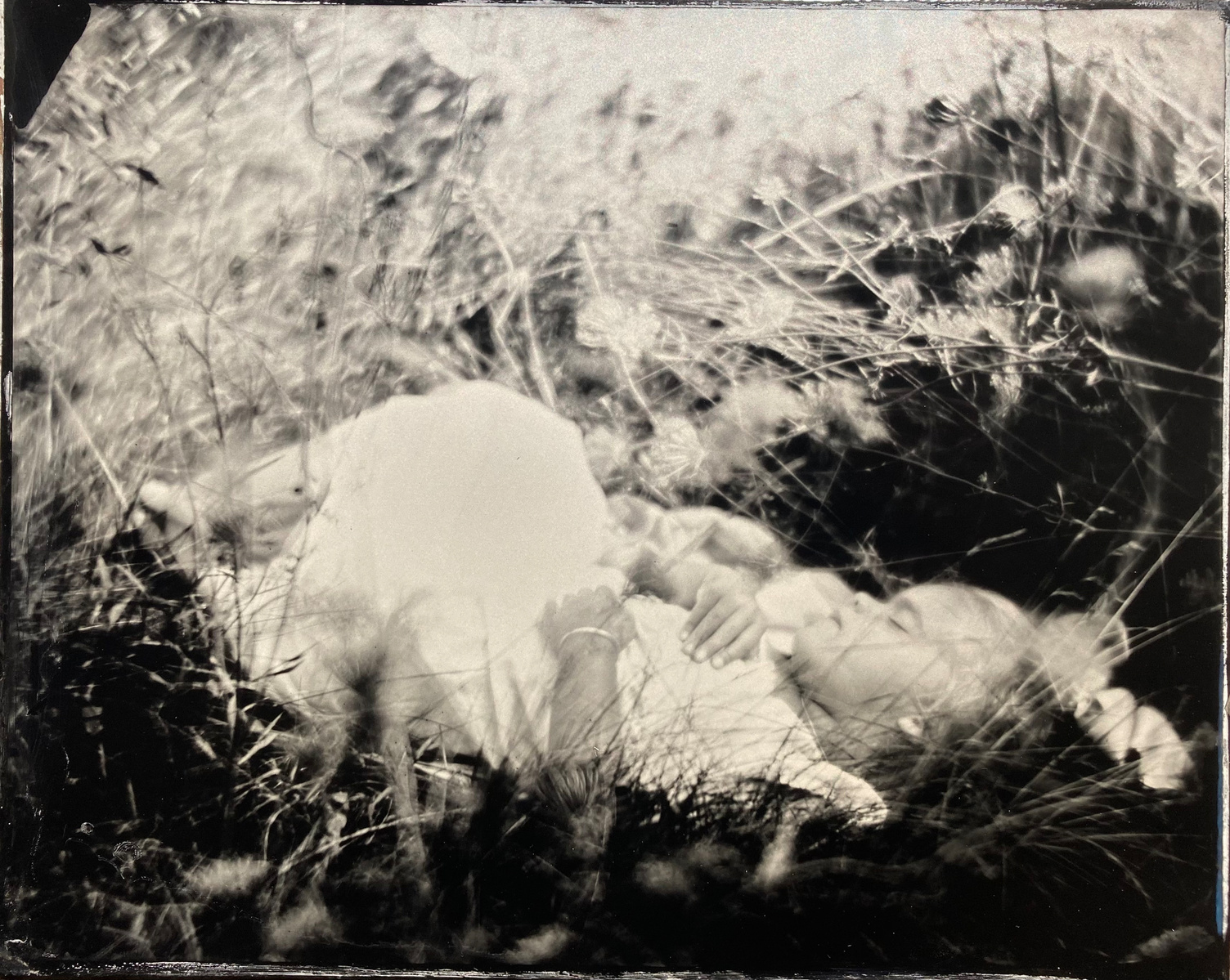 wet plate portrait fine art