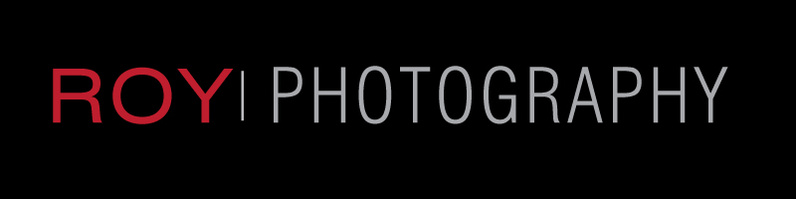 Anirban Roy Choudhury: Kolkata based fashion photographer and owner of Roy Photography, specializes in Fashion, Editorial,  Lifestyle, Commercial, Advertising and Portrait photography available for assignments worldwide