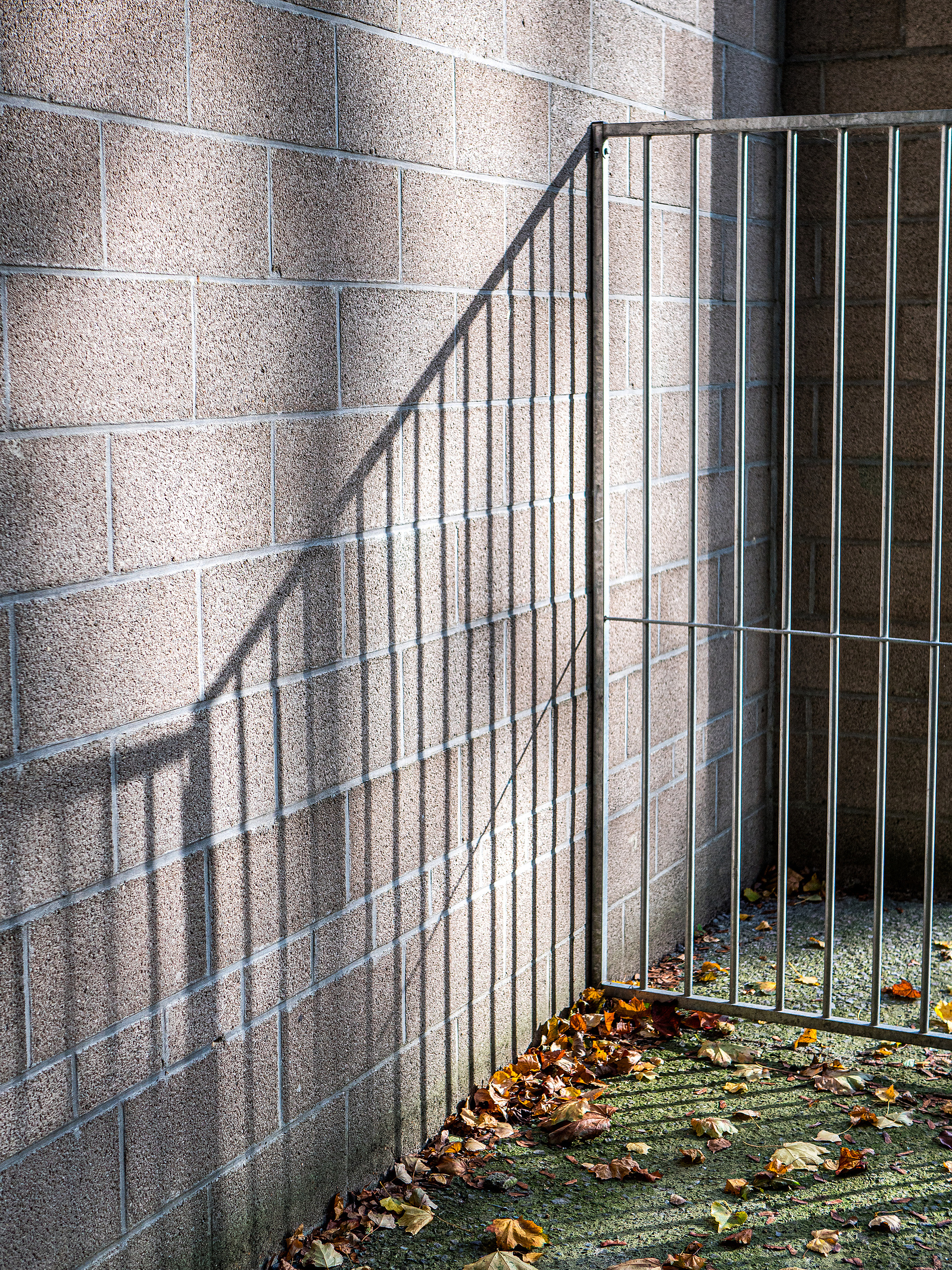 L'ombre d'une grille de chenil sur un mur en parpaing. Celles en Belgique.