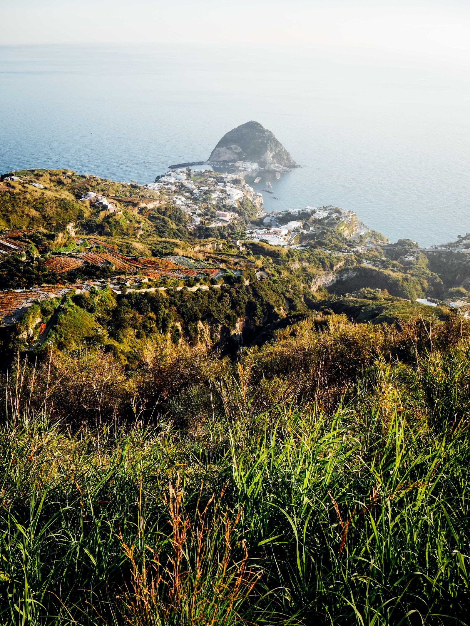 Paysage de l'ile d'Olbia.
