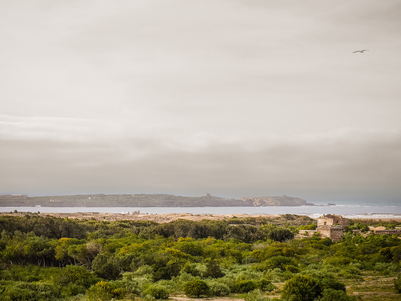 Un paysage de bord de mer.