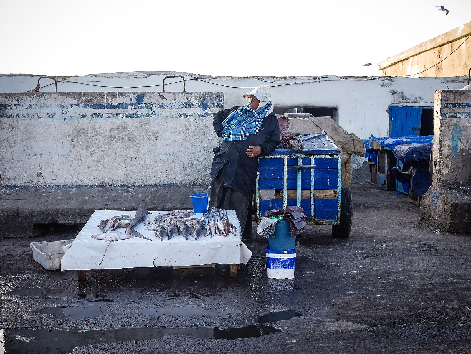 Un étal de poisson sur le port d'Essaouira.
