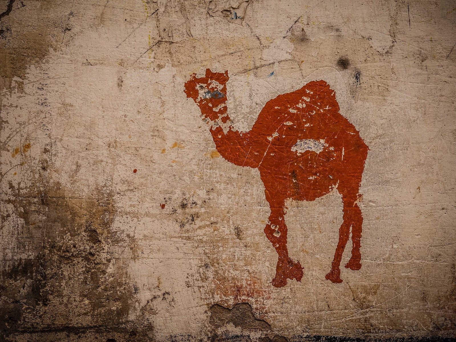 Un dromadaire peint sur un mur.