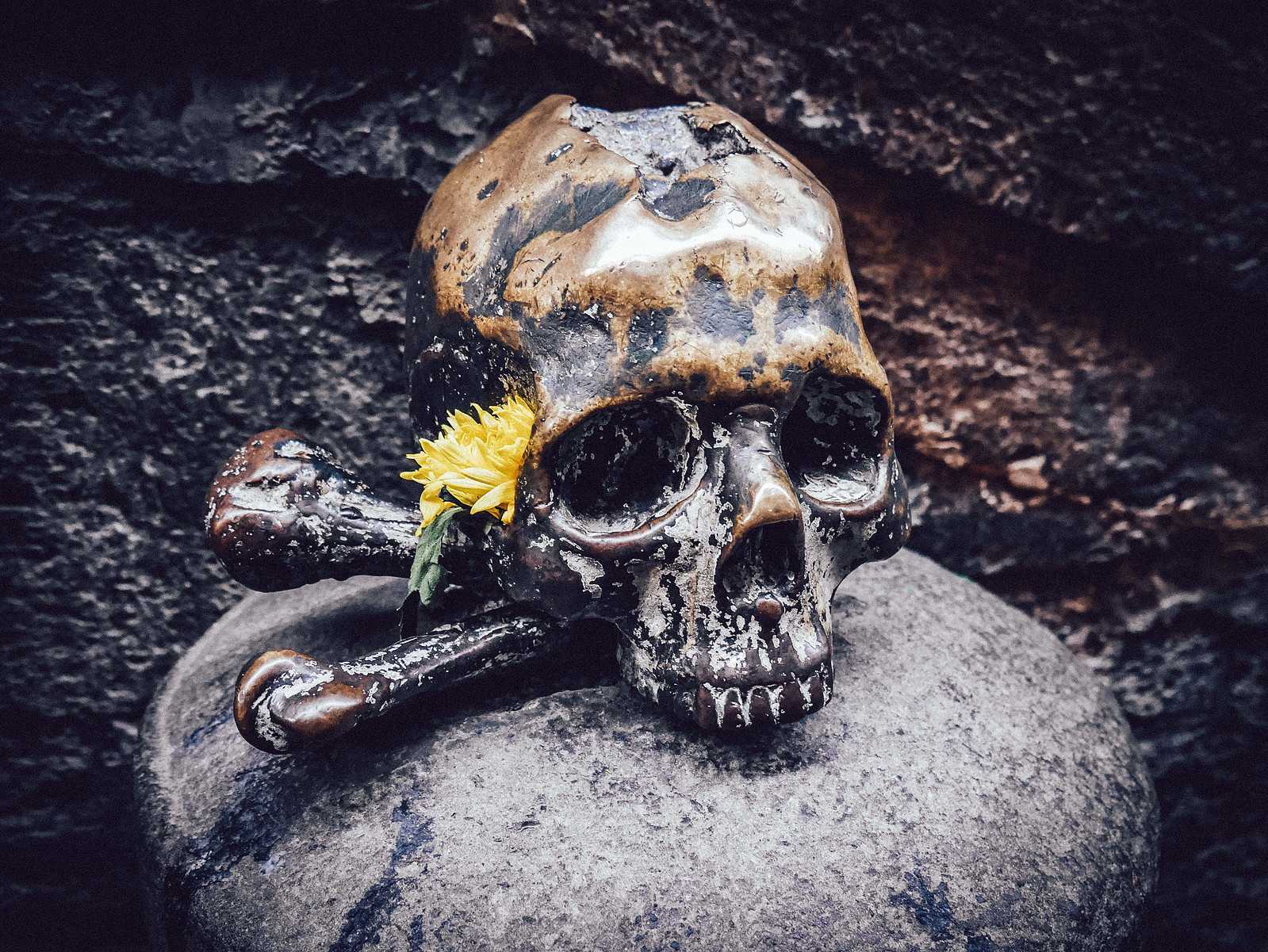 Une tête de mort avec une fleur devant une église.