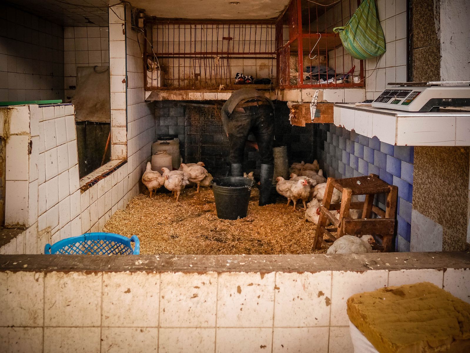 Un marchand de poule.