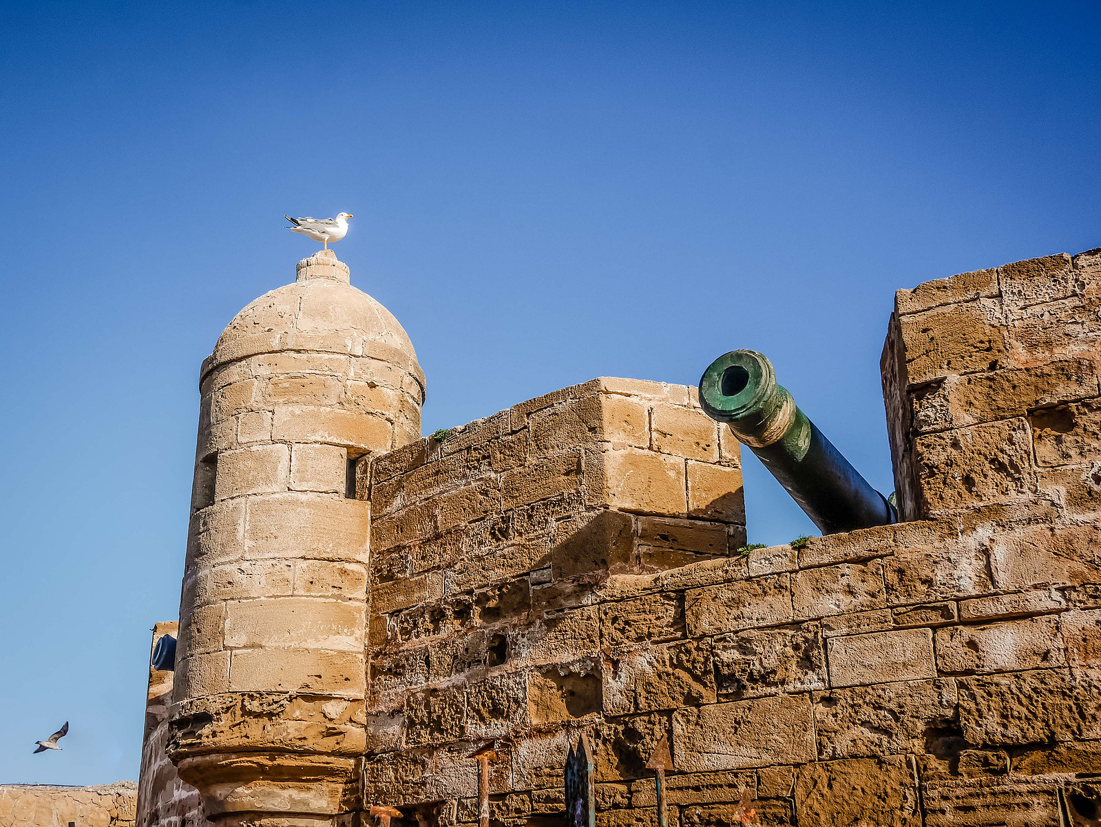 Un canon sur un mur fortifié.
