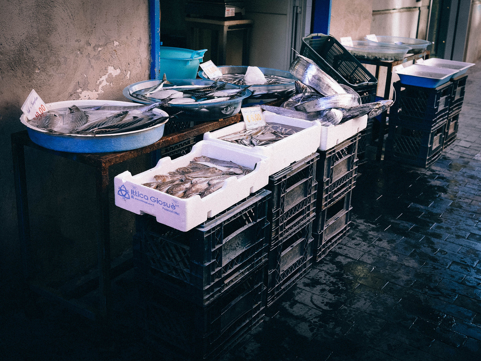 Des caisses de poisson.