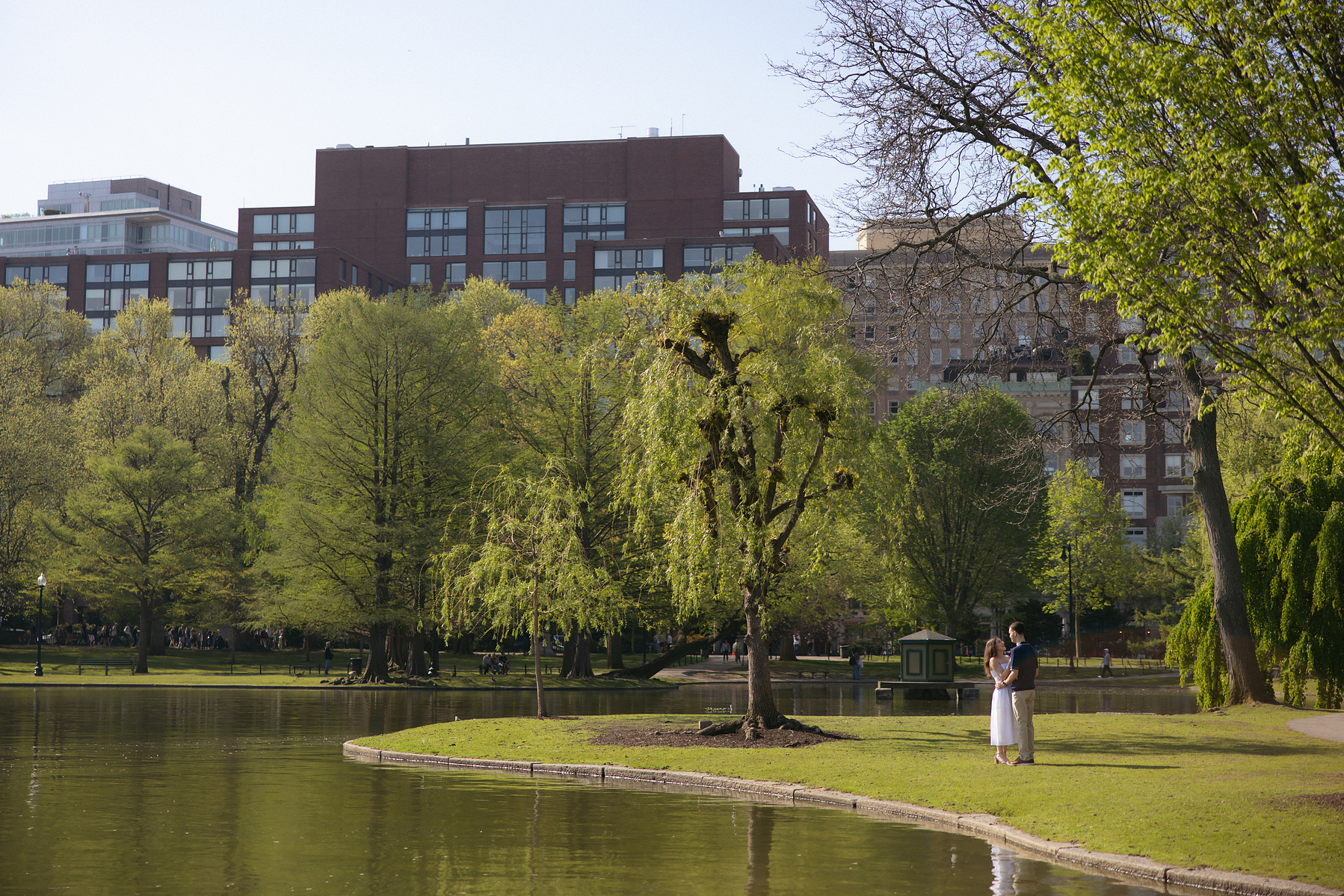 Bride and groom off in the distance in boston commons. 