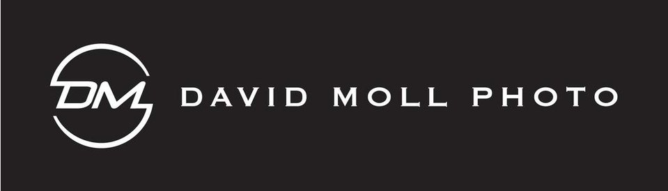 David Moll's Portfolio