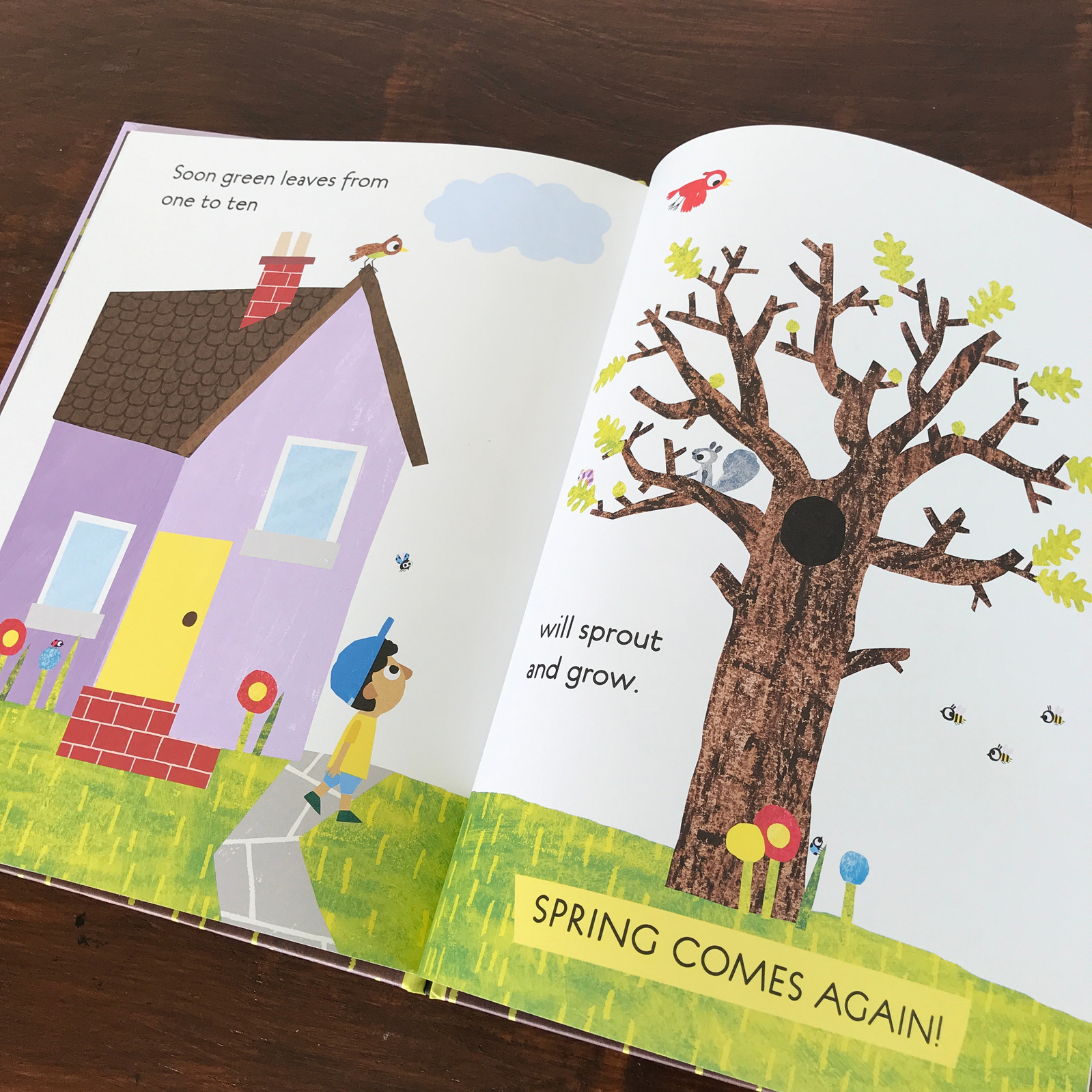 one leaf two leaves count with me book