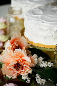 wedding cake with florals
©Leslie Rodriguez Photography
Wedding and Event Photography
Boise, Idaho