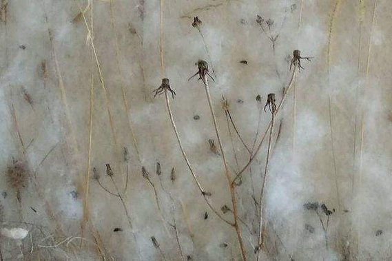 Material for Feel Good Felt Art