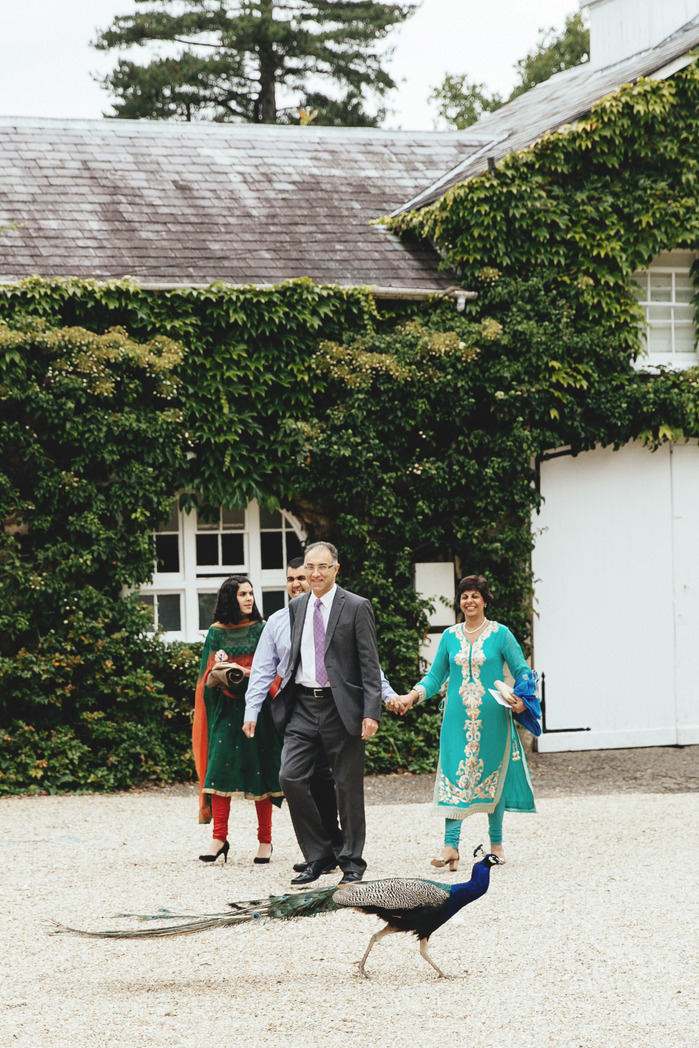 Northbrook Park Surrey Wedding Venue Photography Peacock