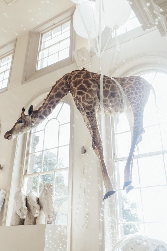 Flying Giraffe Aynhoe Park
