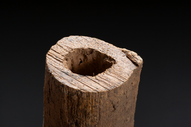 A close up of the sawed end of a bone. The resulting shape is a hollow cylinder with jagged saw marks. 