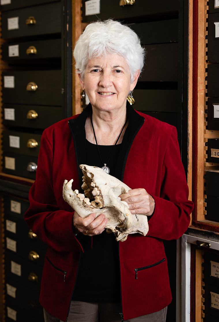 A scientist in a bright red jacket holds a skull while standing in front of stacks of drawers. 