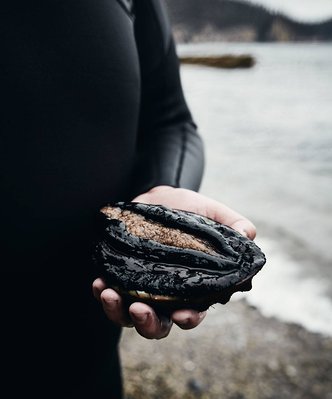 scuba diver holding abalone in Tasmania by Food photographer Nic Gossage