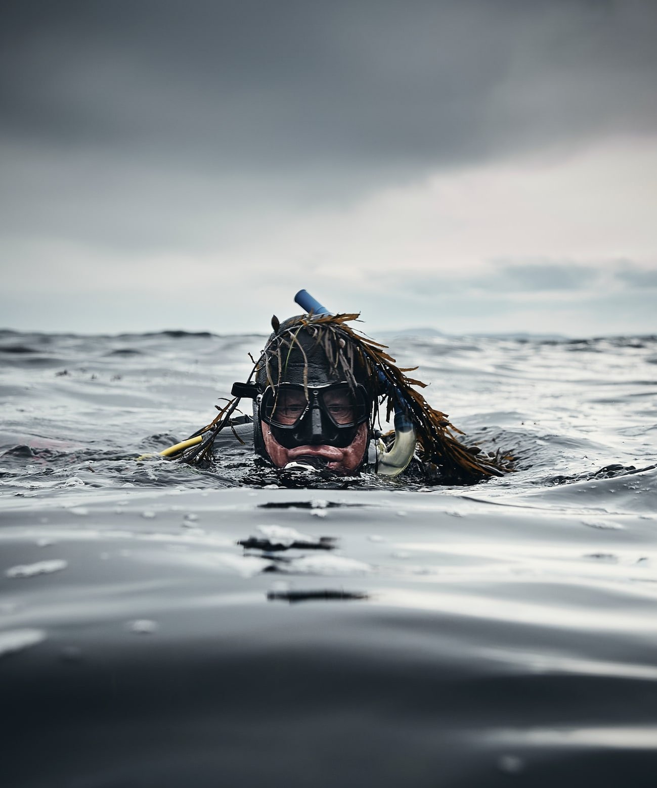 Scuba diver in Tasmania Lifestyle photographers Nic Gossage