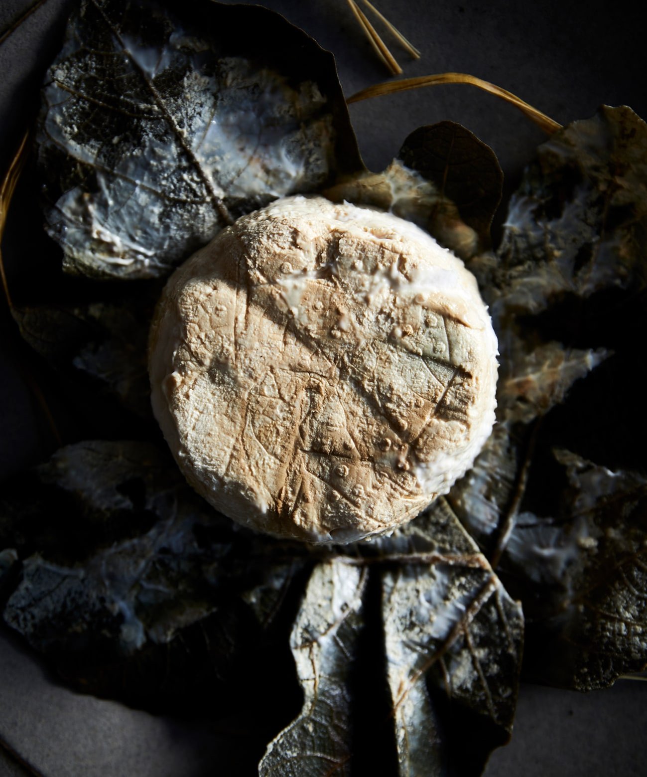 Food photography by Nic Gossage photographs soft cheese wrapped in vine leaf in Tasmania