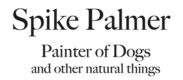 Spike Palmer's Portfolio