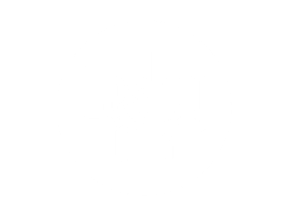 Lesley Link
