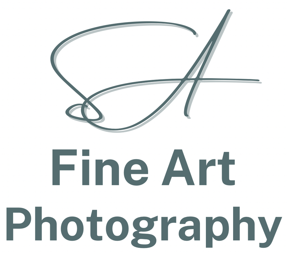Nature, Abstract and Street Life Photography in Hilversum