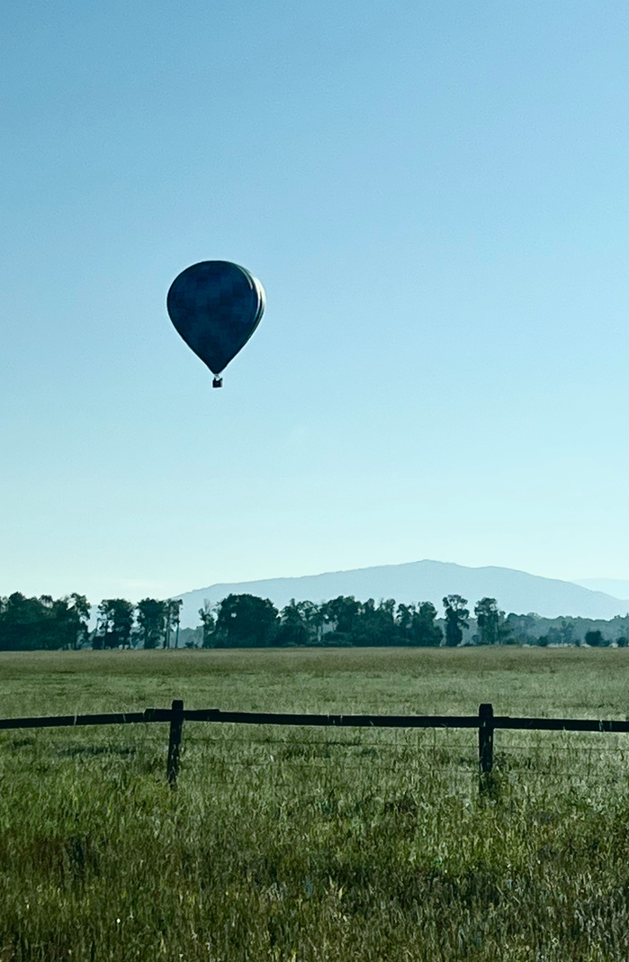 JACKSON HOLE