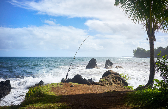 DAVIS'S FISHING SPOT