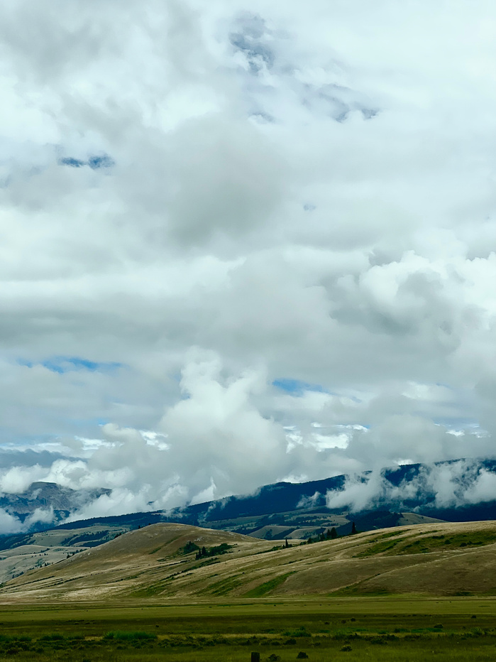 JACKSON HOLE