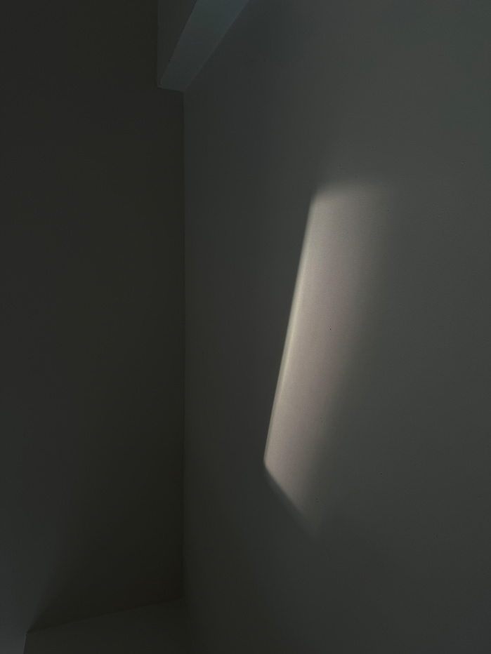 LIGHT STUDY