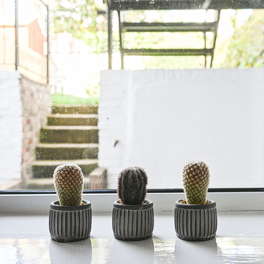cactus stairs window LOCATION HOUSE KENT LOCATION HOUSE SHOOT LOCATION LOCATION AGENCY MARGATE LOCATION BROADSTAIRS LOCATION RAMSGATE LOCATION PHOTOGRAPHIC LOCATION FILMING LOCATION