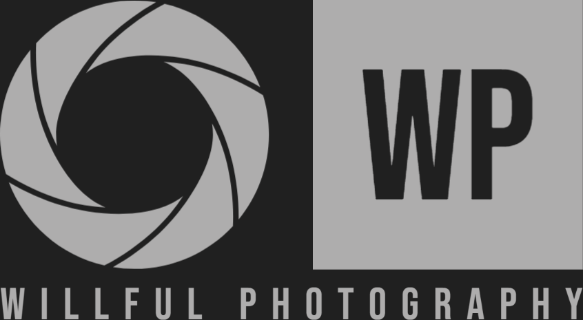 Galleries of work by Willful Photography