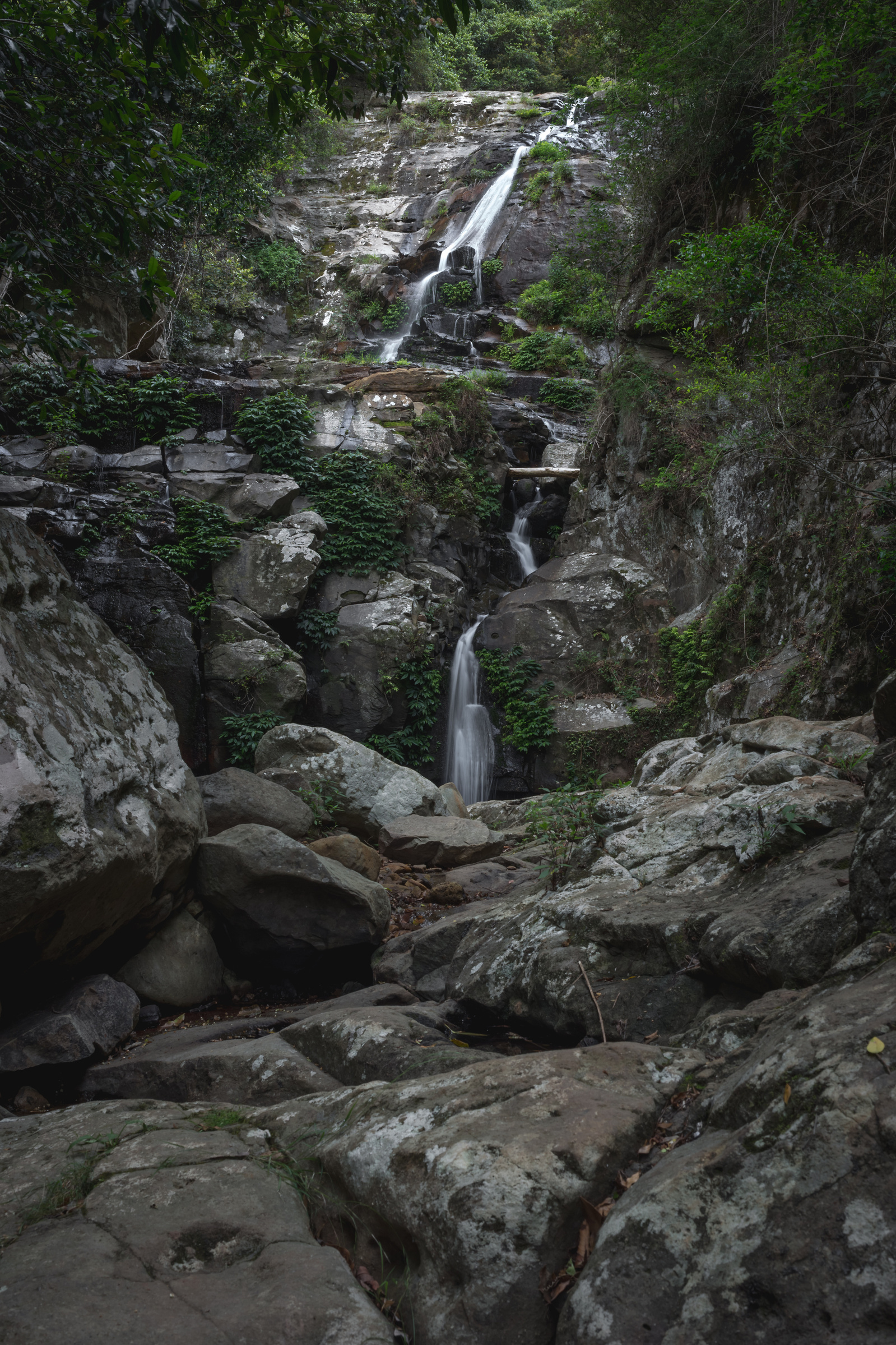 Photo of Cascade Falls Wollongong NSW