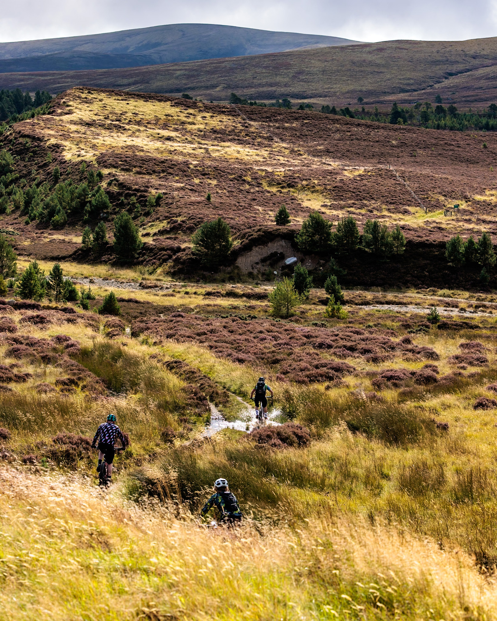 The cairngorms mountains in beautiful sunshine. 3 mountain bike riders splashing through a stream.
