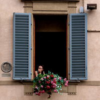 Person looking out of an open window, with blue shutters in Florence .