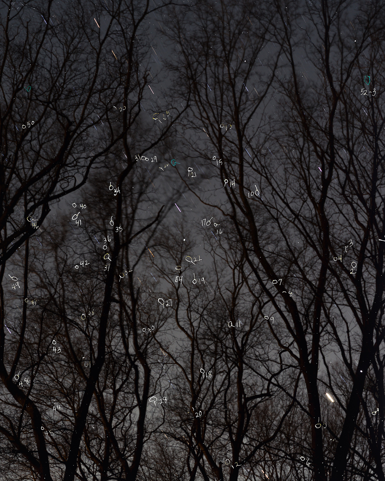 Large Double Exposures. 36 x 45 on Hahnemuhle rice paper.