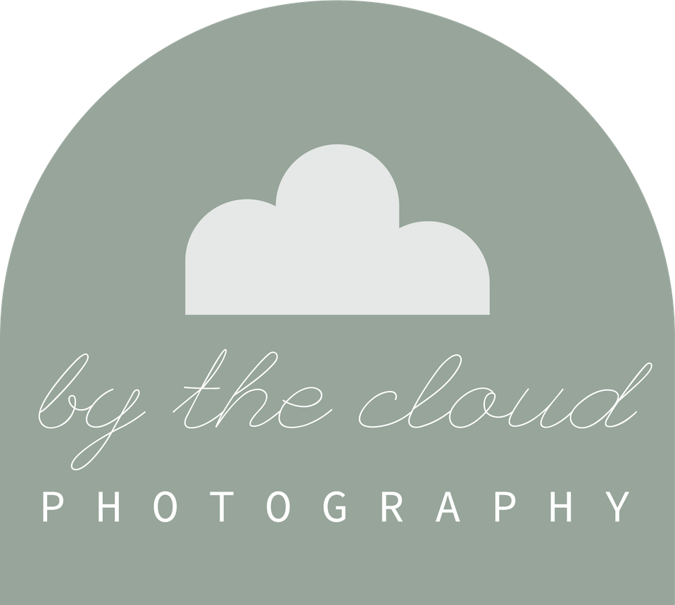 Vancouver Wedding Photographer  | 밴쿠버 웨딩 사진관  | bythecloud wedding photography