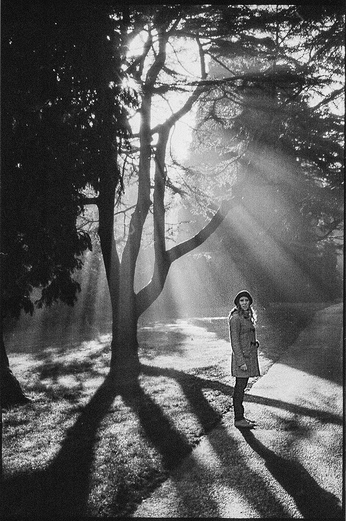 A women under a tree with beautiful sunlight