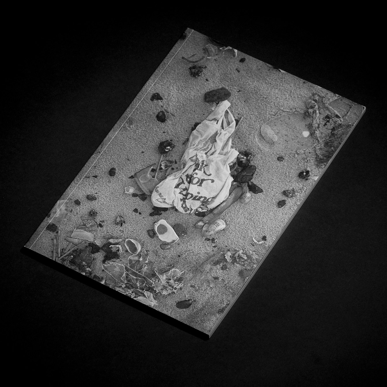 Every Little Thing, Photobook, Ricardo Lozano, A Love Token, New York City,