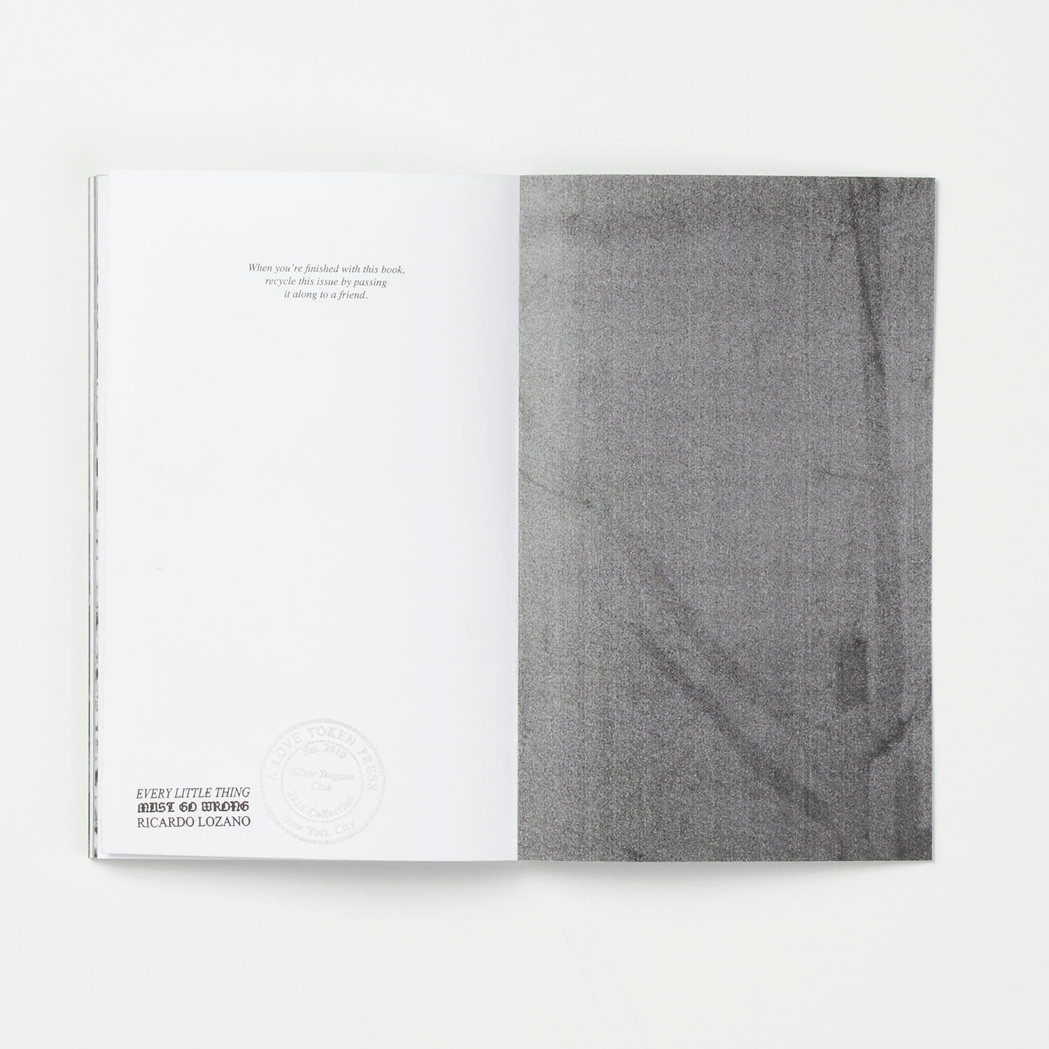 Every Little Thing, Photobook, Ricardo Lozano, New York City, Editorial, Designer