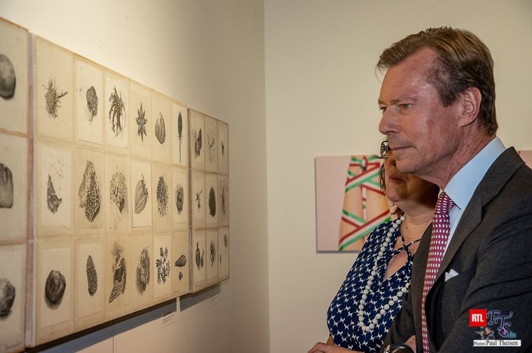 Grand Duc Henri of Luxembourg looking at Danielle Grosbusch's artworks at the Salon CAL
