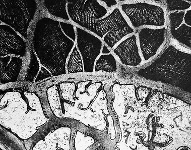 Cette gravure montre la génialité de la etching technique que Danielle Grosbusch utilise et représente le style de Danielle.