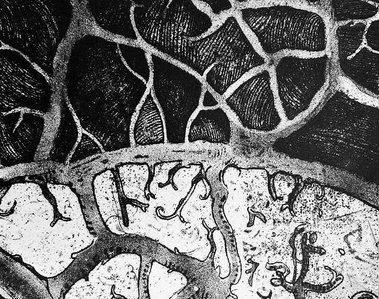 Cette gravure montre la génialité de la etching technique que Danielle Grosbusch utilise et représente le style de Danielle.
