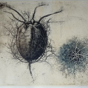 Danielle Grosbusch had multiple international exhibitions, such as the BIECTR in Quebec, Canada