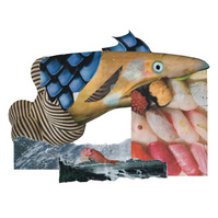 Analog collage with abstract looking fish that has a shocked expression while eating sushi with another dead fish in the sea.