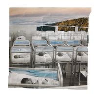 Analog collage with a black and white photograph of three rows of newborn babies with blue skies and light purple dusk in the background.
