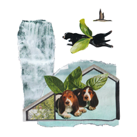 Analog collage of a two basset hounds with mint as wings inside a window with a waterfalls to the left on blue background. Above them is another black bulldog splooting with two leaves as wings with a goose flying above in opposite direction.