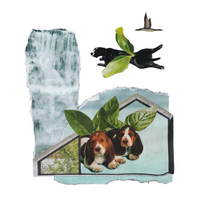 Analog collage of a two basset hounds with mint as wings inside a window with a waterfalls to the left on blue background. Above them is another black bulldog splooting with two leaves as wings with a goose flying above in opposite direction.