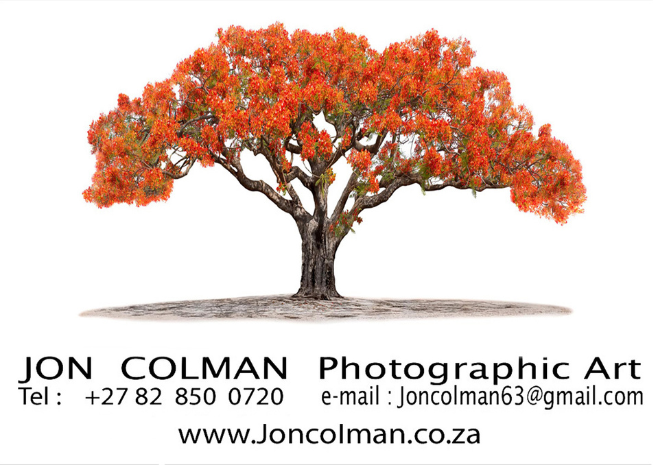 Jon Colman Photographic ART